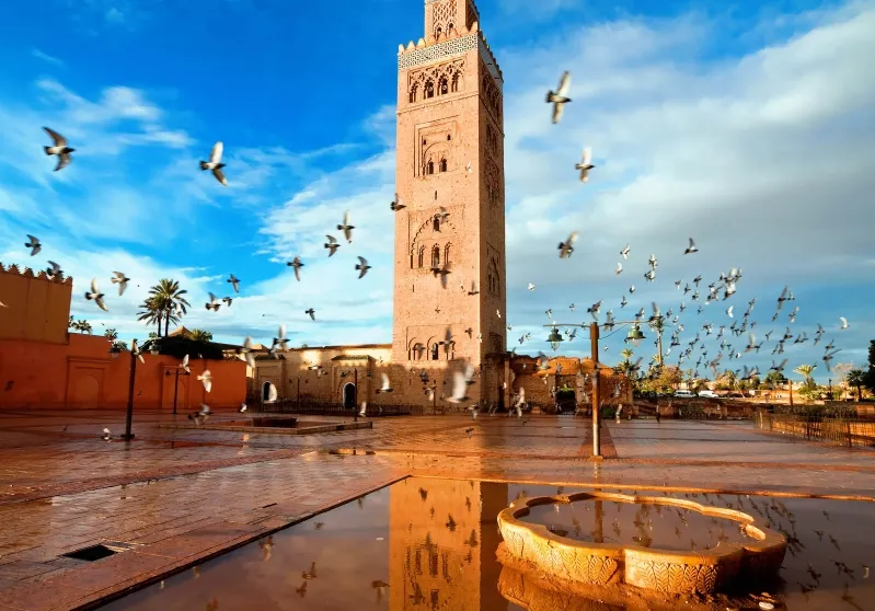 A bird soars near a clock tower in Morocco, symbolizing the beauty of travel and exploration in the region.