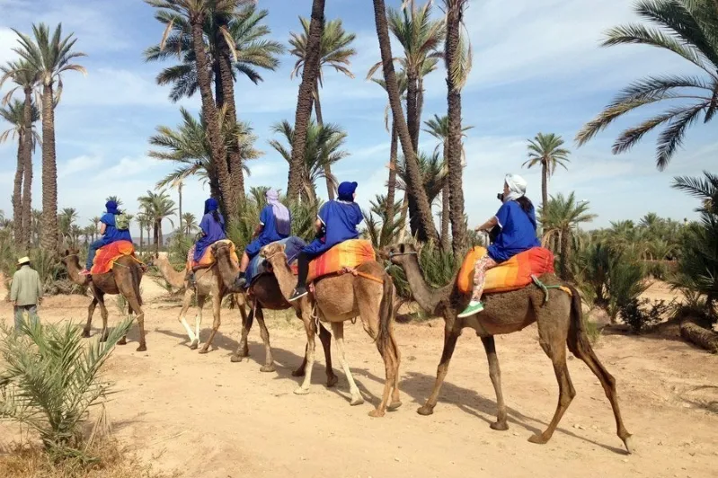 A group of individuals in blue attire riding camels, showcasing the vibrant culture of Morocco during a tour. 