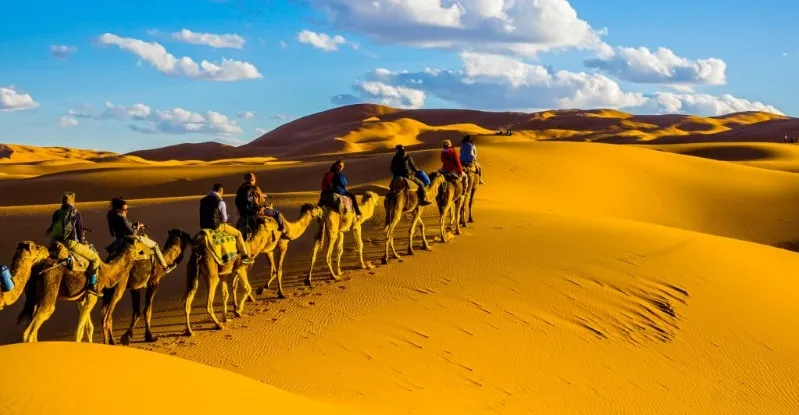 A group of travelers riding camels across the vast desert landscape, showcasing a unique Moroccan adventure experience.