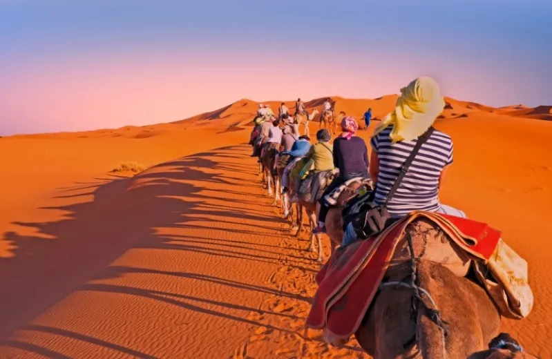  A luxurious camel ride through the stunning Sahara Desert, showcasing the vast dunes and vibrant sunset, starting from Marrakech. 