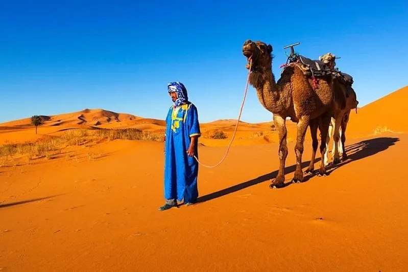 a woman in a blue dress poses next to two camels, showcasing the local culture and scenery.