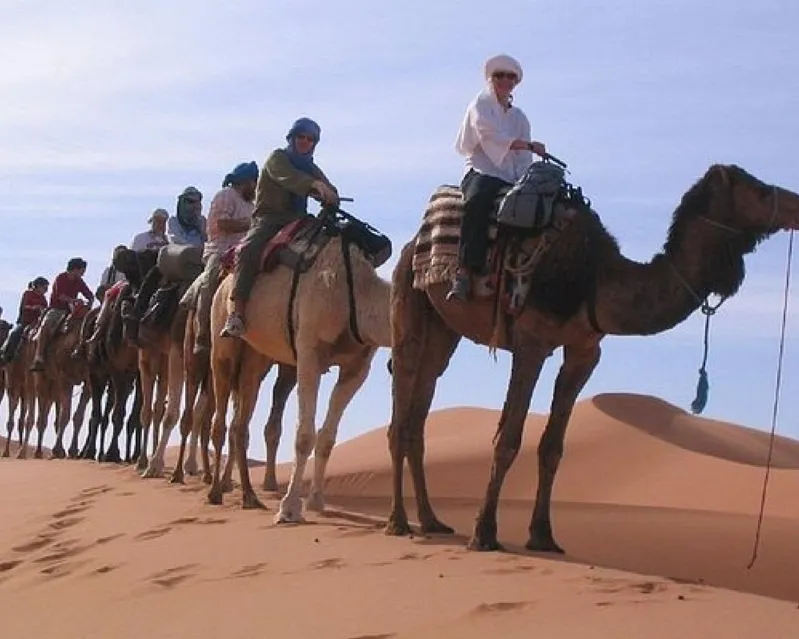 A group of travelers enjoying a luxury Sahara desert tour on camels, surrounded by vast sandy dunes. 