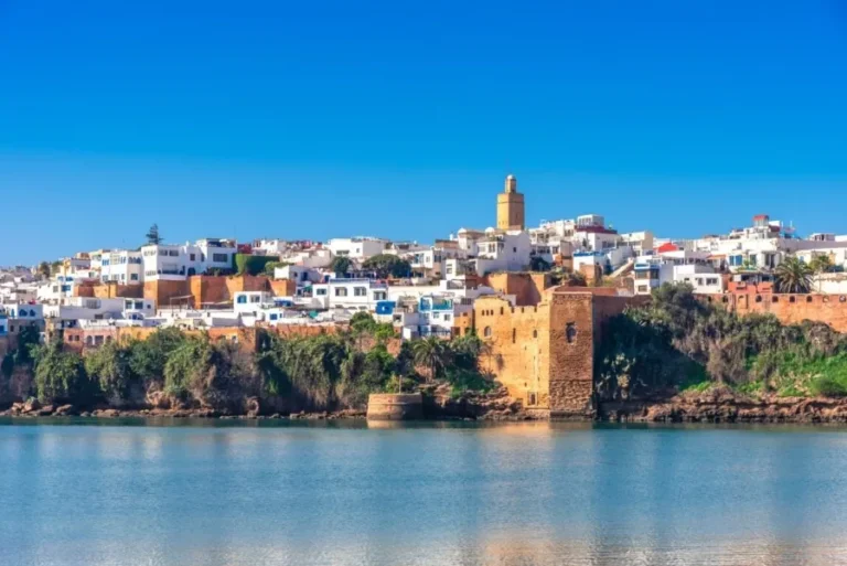 A panoramic view of Fes, Morocco, showcasing its white buildings against a clear blue sky, ideal for travel enthusiasts.