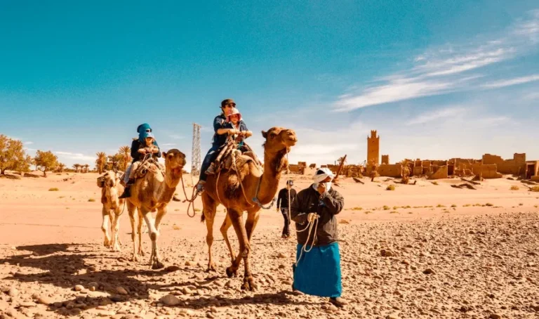 A family enjoys a camel ride in the desert, surrounded by golden sands and clear blue skies, perfect for a Moroccan adventure.