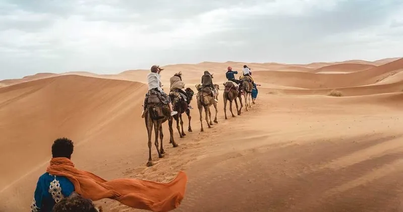  Individuals riding camels journey through the morocco desert sahara, showcasing the beauty of the arid landscape.