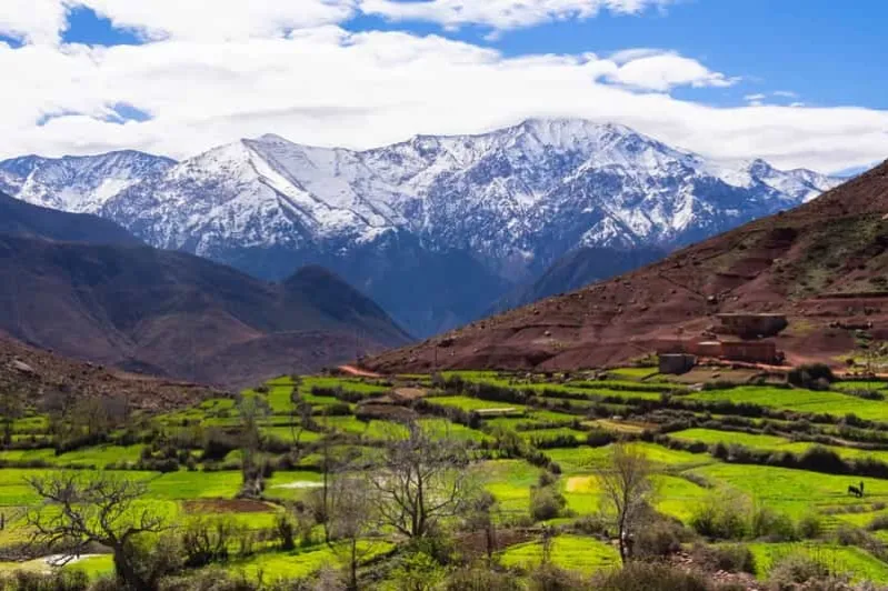 Scenic view of the Atlas Mountains in Morocco, showcasing rugged peaks under a clear blue sky typical of Morocco weather.