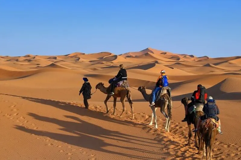A group of people riding camels in the Moroccan desert, their shadows stretching across the sandy landscape. 