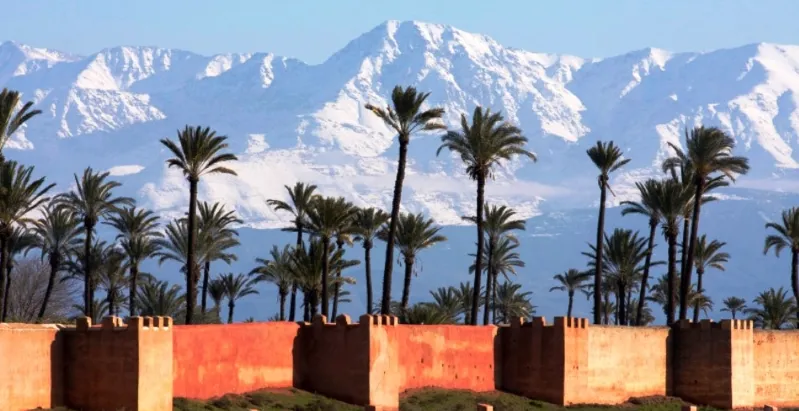 A scenic view of palm trees against a backdrop of mountains, capturing the essence of Marrakech travel.