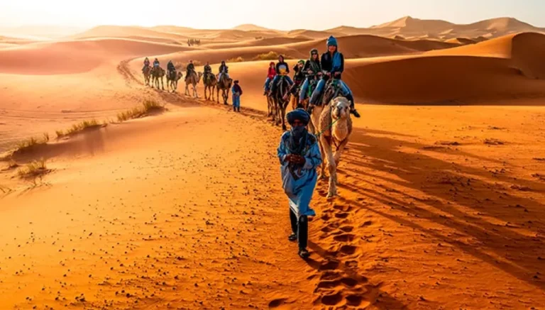 A group of individuals riding camels across the vast expanse of the Moroccan Sahara Desert under a clear blue sky.