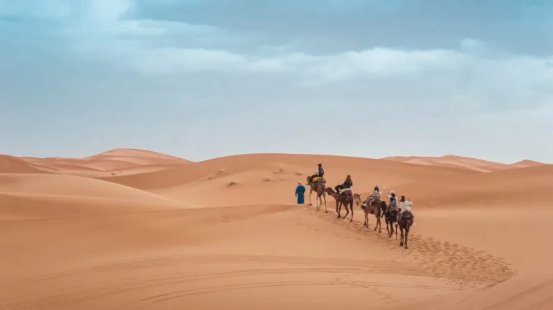 Three individuals ride camels across the vast expanse of the Sahara Desert during a tour from Marrakech, Morocco.