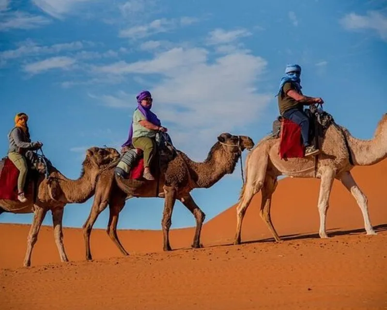 Four travelers ride camels across the vast expanse of the Sahara Desert in Morocco, showcasing a unique travel experience.
