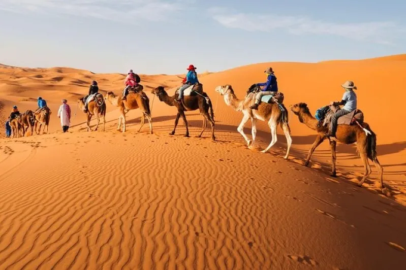 A group of individuals riding camels across the Moroccan desert, showcasing a luxury camp experience in the background. 