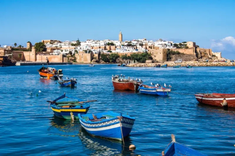 Boats floating in the water near the historic old city of Tunisia, showcasing a blend of culture and maritime beauty.