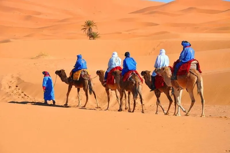  Four individuals in blue and red attire riding camels during a private desert tour in Morocco. 