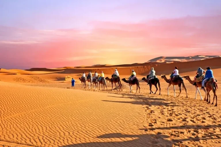 A group of travelers riding camels across the vast expanse of the Moroccan desert, enjoying their adventurous journey.