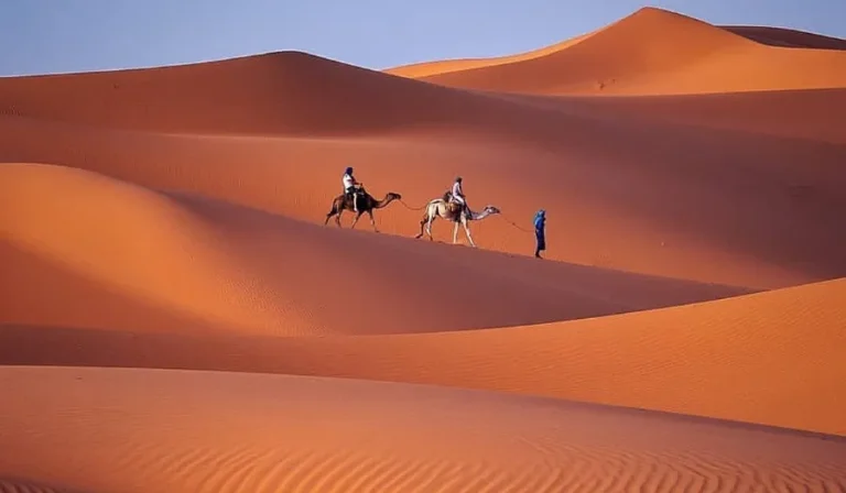 Two individuals riding camels across the vast expanse of the Sahara Desert in Morocco, showcasing a unique travel experience.