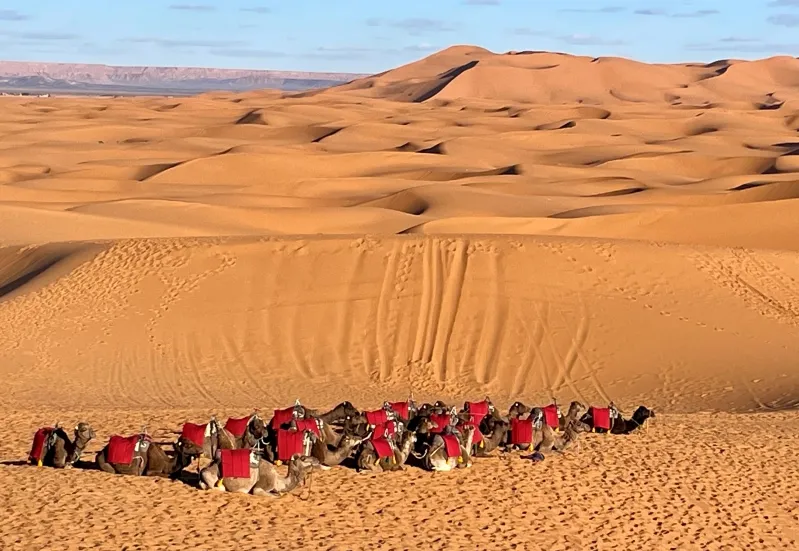 A diverse group of individuals seated on the sandy expanse of Morocco's finest desert, enjoying the serene landscape.