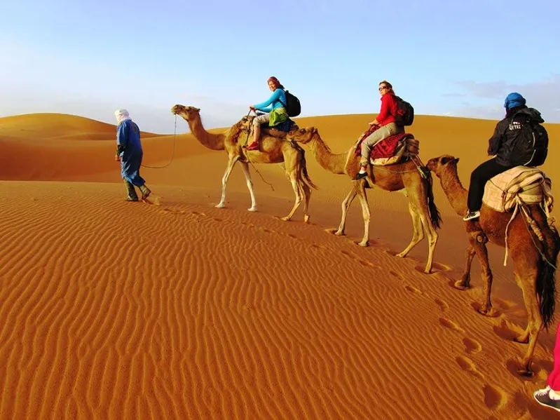 A group of tourists riding camels across the vast desert landscape during a fes morocco desert tours.