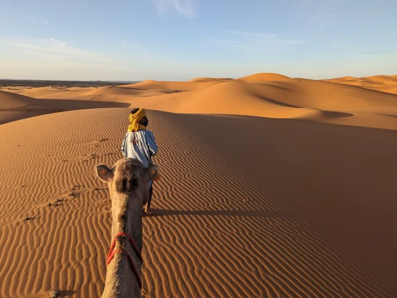 A lone individual rides a camel across the morocco desert sahara, showcasing the stunning landscape of rolling sand dunes.