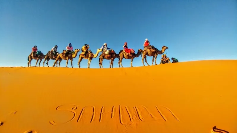 A group of tourists enjoying a private Morocco tours, riding camels across the vast desert landscape.