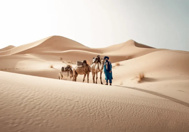 In the Moroccan desert, a man strolls with two camels, highlighting the adventure and culture of desert exploration.