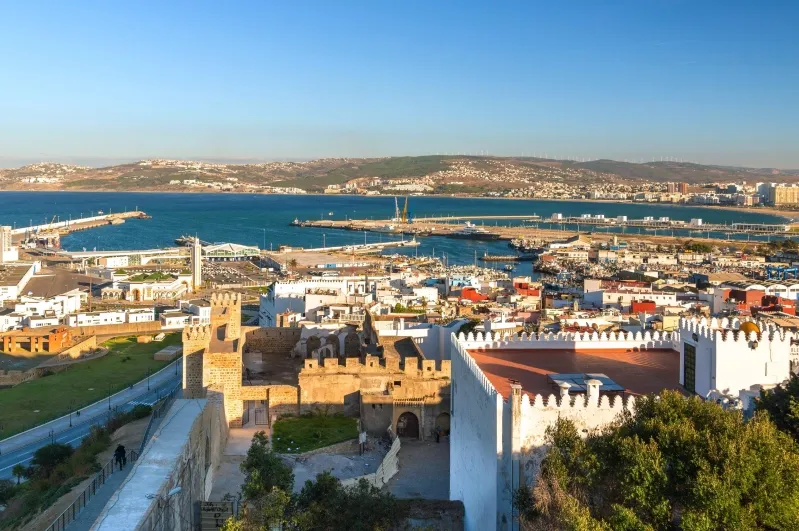 Aerial view of Tunis, Tunisia, showcasing the city's landscape, ideal for travelers exploring Morocco.