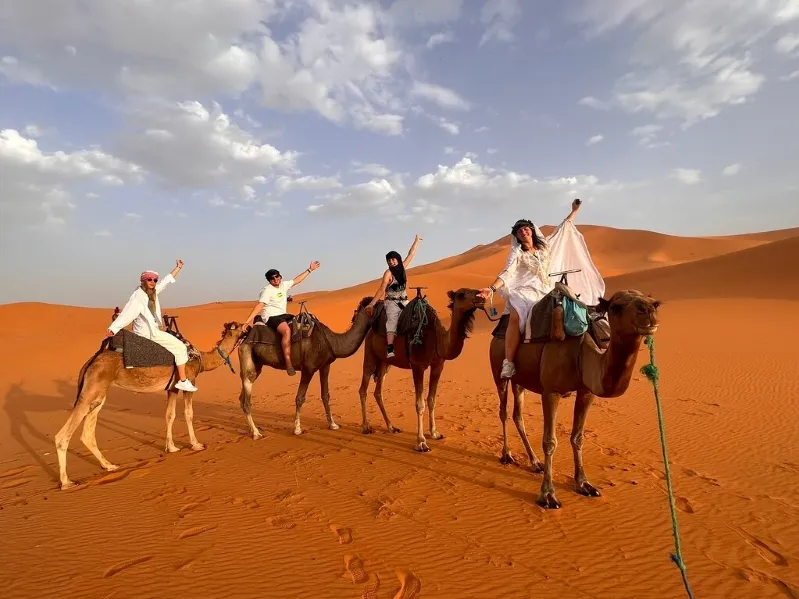A group of four individuals on camels in the desert, enthusiastically raising their hands, showcasing a Morocco travel agency. 