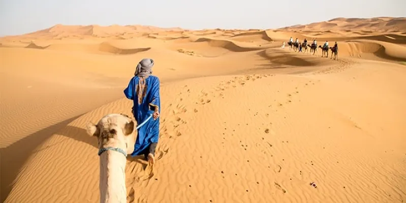 A man in a blue dress walks alongside a camel in the desert, showcasing the beauty of private Morocco tours.