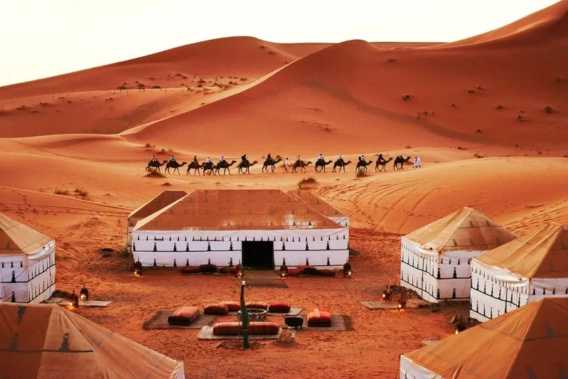 A scenic view of tents in the sahara desert tour morocco, accompanied by camels, showcasing a Moroccan tour experience. 