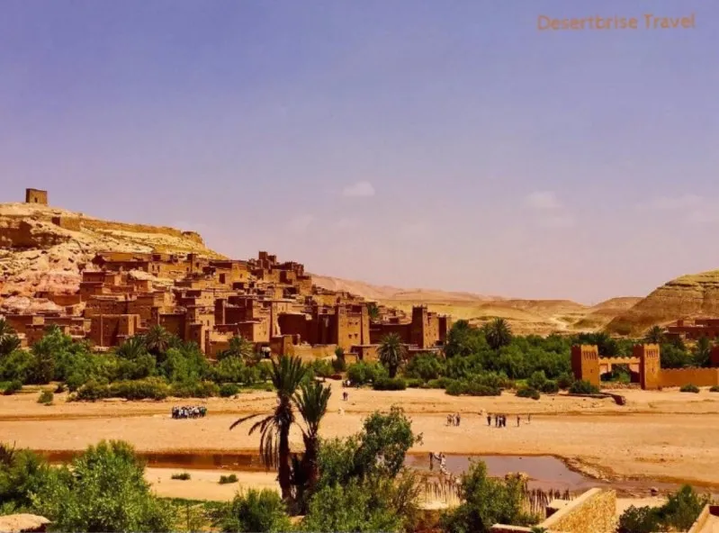 A vast Moroccan desert landscape near Ouarzazate, showcasing golden sands and distant mountains under a clear blue sky. 