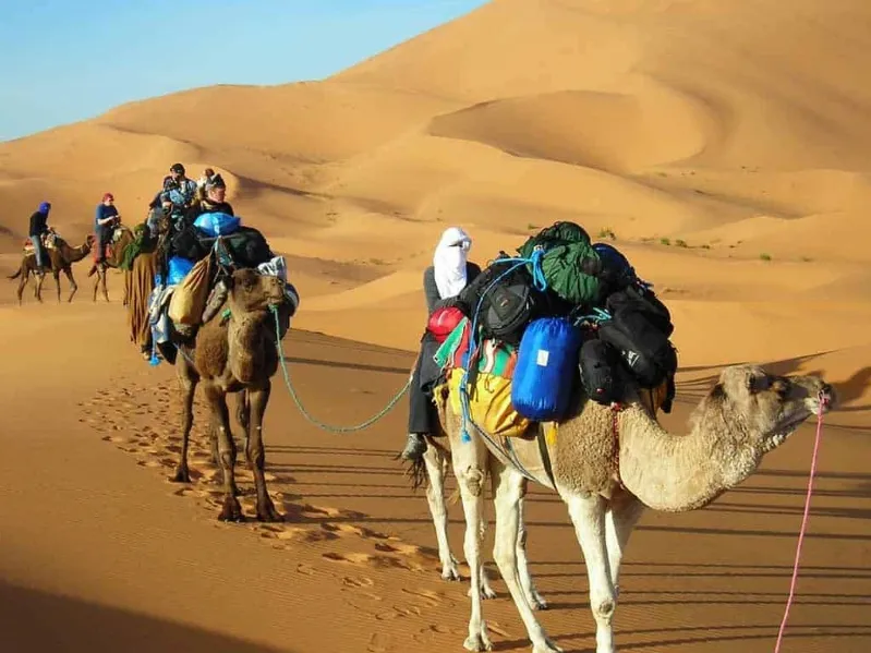  A group of people riding camels across a vast desert landscape in Morocco, showcasing a camel tour experience.