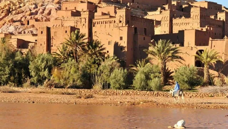 A man walks beside a camel along a river during a desert tour in Ouarzazate, Morocco, showcasing the scenic landscape.