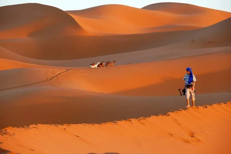 A man walks through the desert alongside a camel during a trip in Ouarzazate, showcasing the arid landscape.