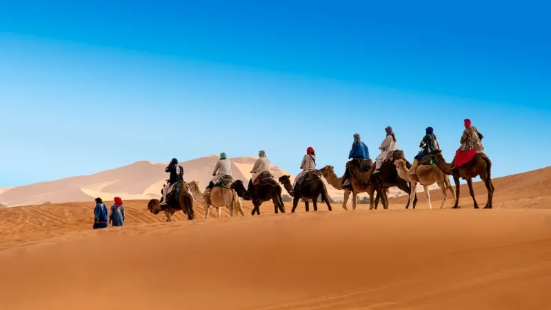 A group of tourists riding camels across the vast Sahara Desert, showcasing an adventure offered by top Morocco tour companies.