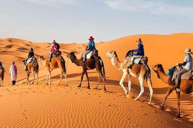 A group of travelers riding camels across the vast desert landscape during their Ouarzazate trip.