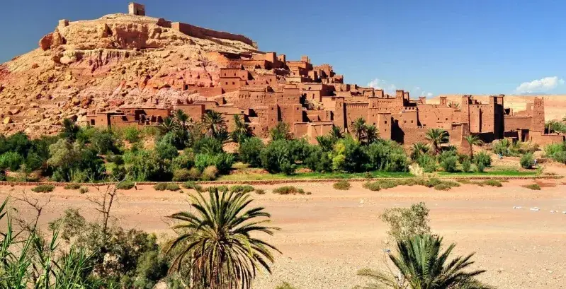 A vibrant desert landscape featuring palm trees and buildings, showcasing a day trip from Marrakech to Ouarzazate. 