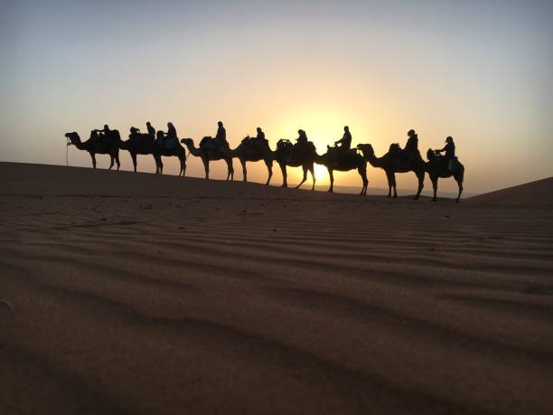best morocco tour companies