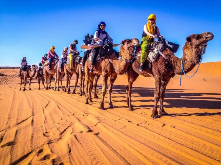 A group of tourists riding camels across the sandy desert landscape during a Morocco camel tour.