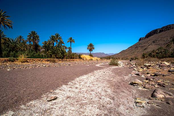 Travelers enjoying a Morocco desert tour from Ouarzazate with camel trekking across the Sahara Desert and Erg Chebbi dunes