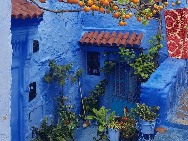 Scenic view of Chefchaouen, Morocco, showcasing its iconic blue buildings and mountainous backdrop, part of the Morocco Tours Packages.