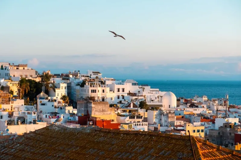 A bird soaring above the rooftops of a town, symbolizing adventure and exploration for Best Day Trips from Malaga to Morocco.