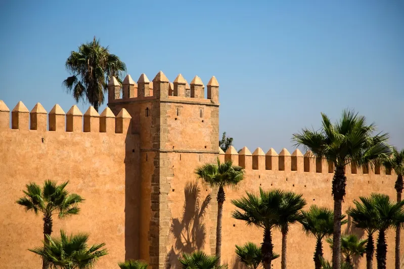 Palm trees in front of a wall with a gate, capturing the essence of a trip to Morocco.