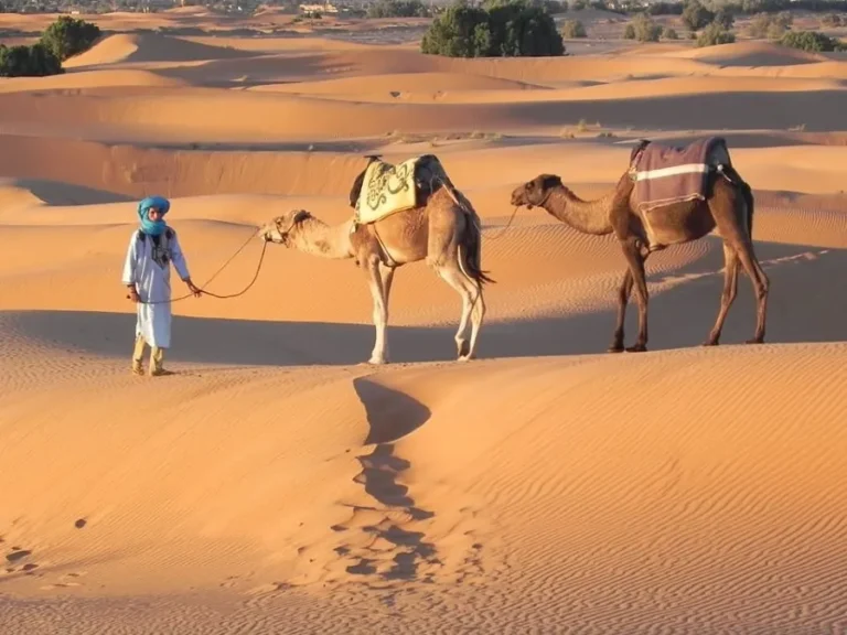 A man stands beside two camels in a vast desert, promoting guided trips to Morocco.
