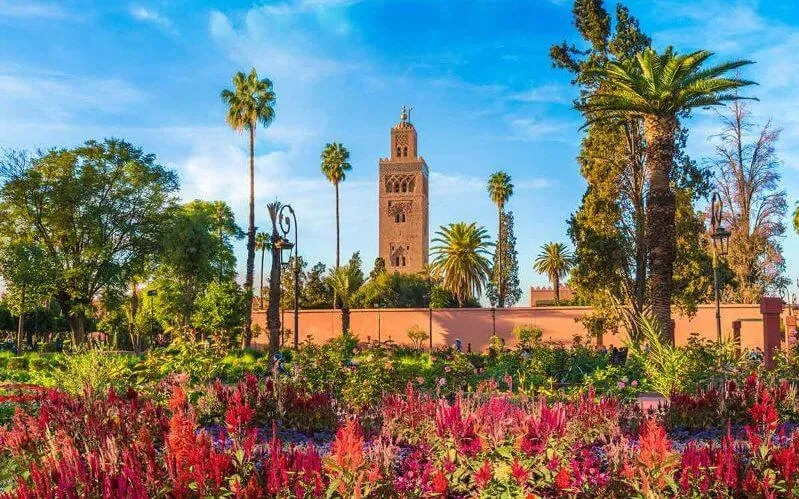 Lush garden of a Moroccan palace in Marrakech, featuring vibrant flowers and traditional architecture, ideal for small group tours.