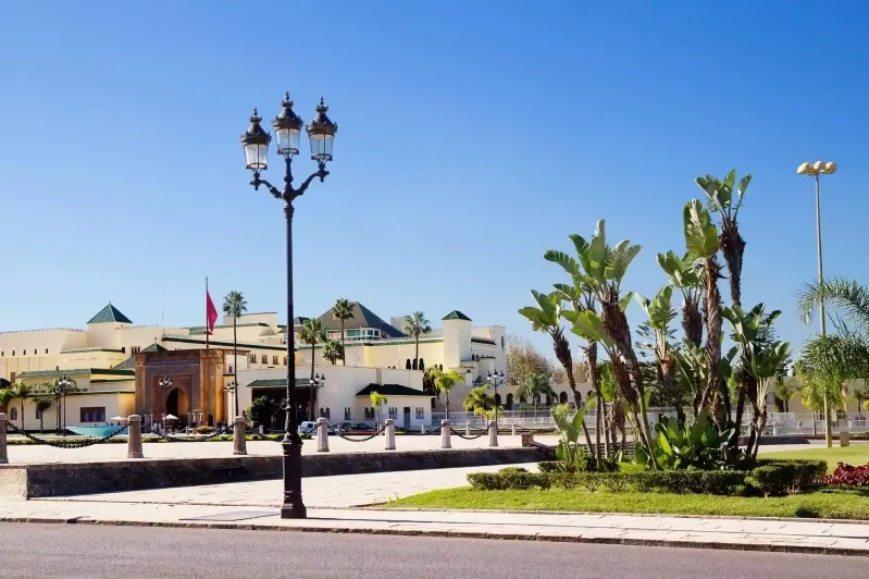 A street lined with palm trees and a light post, capturing the essence of a trip to Morocco.