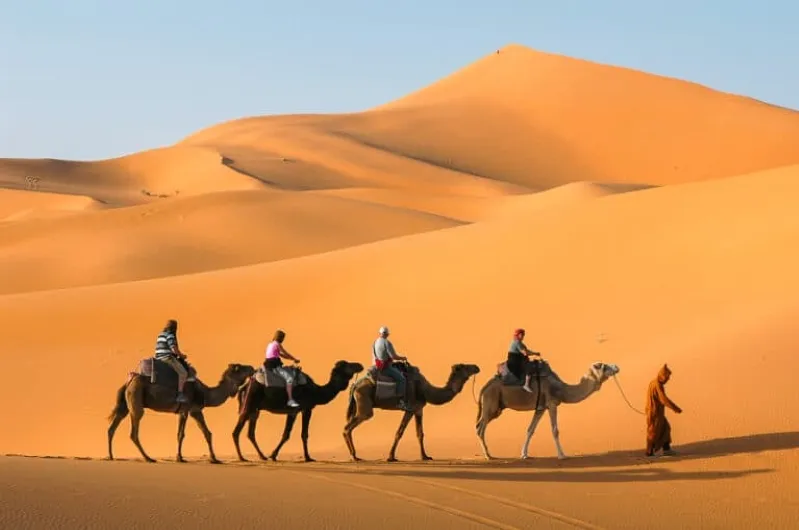 Four people riding camels across the desert, showcasing a small group tour experience in Morocco.
