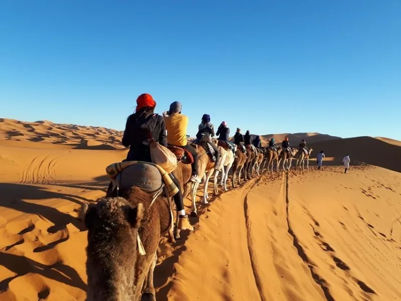 A group of people riding camels across the sandy desert during a Morocco group tour, with dunes in the background.