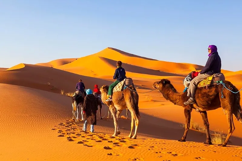 Tourists on camels traverse the vast desert landscape of Morocco, enjoying a unique small Morocco small group tours.