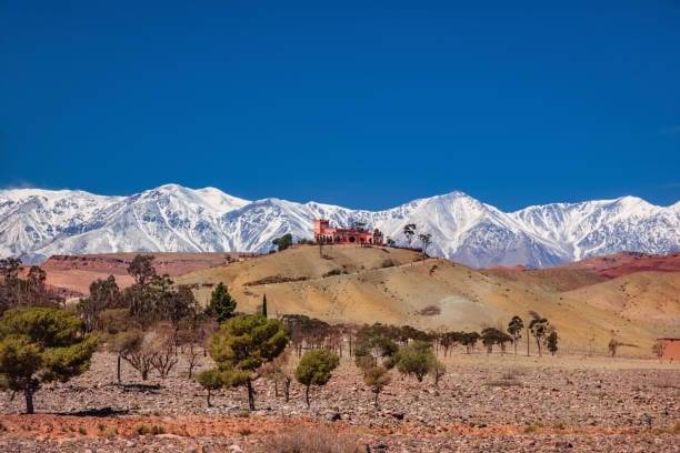 Morocco tour packages featuring Sahara Desert camel trekking, Marrakech medina, Fes city tours, Chefchaouen blue streets, and Atlas Mountains landscapes