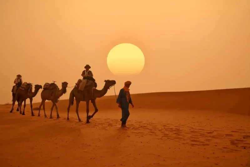 A group of Amazigh in Morocco people walking with camels through the sandy desert 